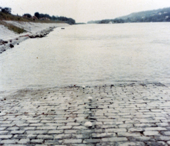 1970. Marching Shells (shells cast in plaster of paris/white) Danube, Hu.