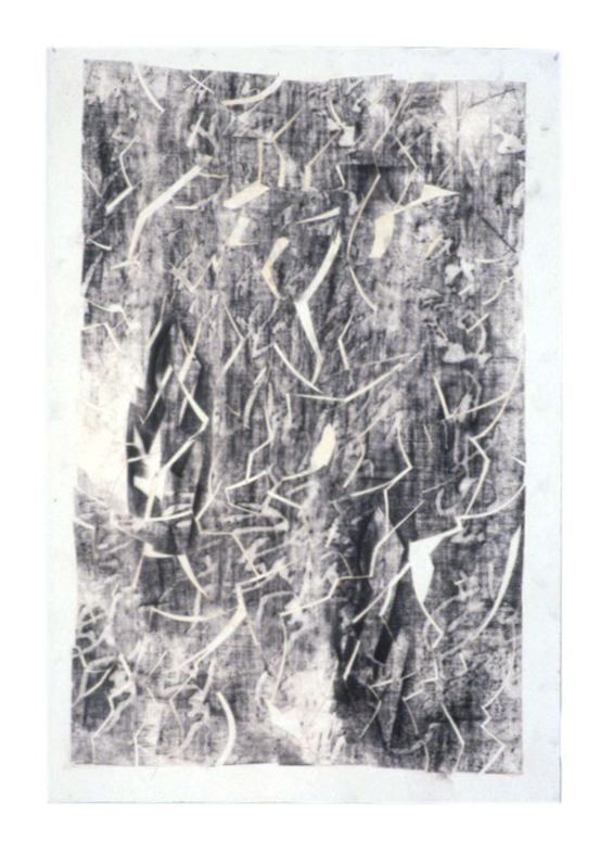 Composite Picture no.0017 GP93 Polymer and graphite on paper on paper 19 1-4 x 13-final