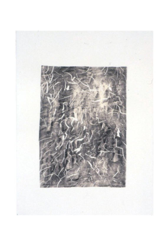 composite picture 0023 gp93 polymer and graphite on paper on paper 29 3-4 x 22 1-4-final