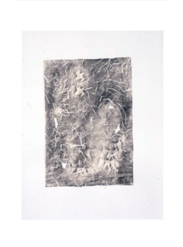composite picture 0035 gp93 polymer and graphite on paper on paper 29 3-4 x 22 1-4-final