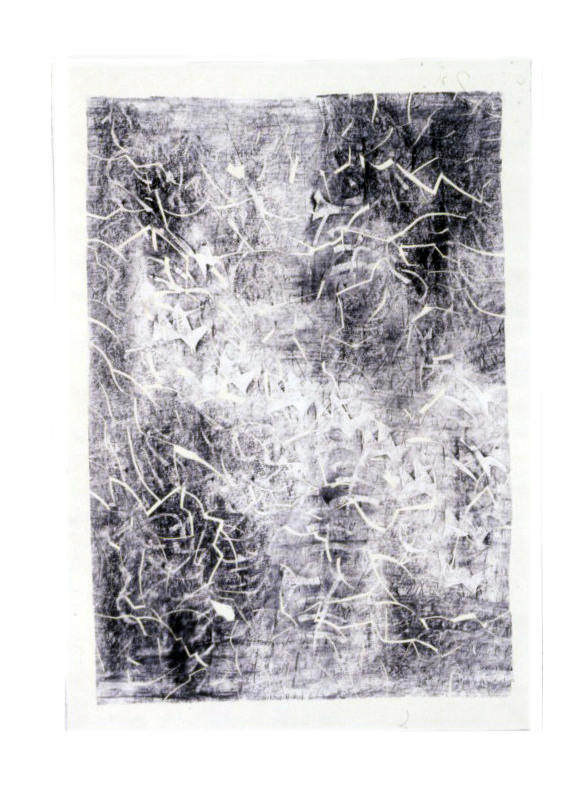 composite picture 0039 GP93 Polymer and graphite on paper on paper 29 3-4 x 21-final