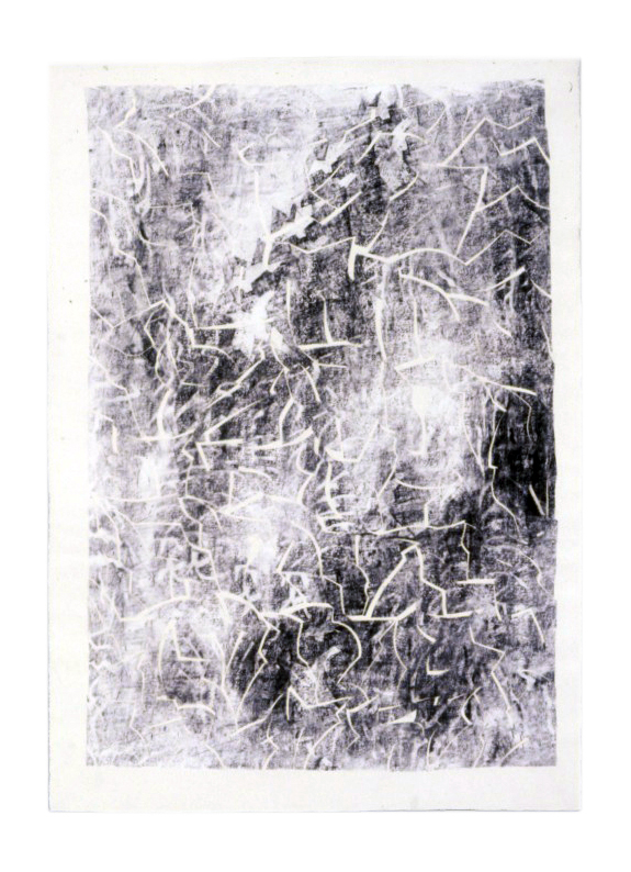 composite picture 0040 gp93 polymer and graphite on paper on paper 29 3-4 x 21-final