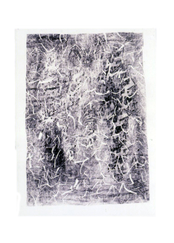 composite picture 0041 gp93 polymer and graphite on paper on paper 29 3-4 x 22-final